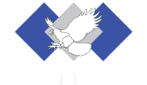 Eagle Environmental Inc. - hazardous materials removal experts.